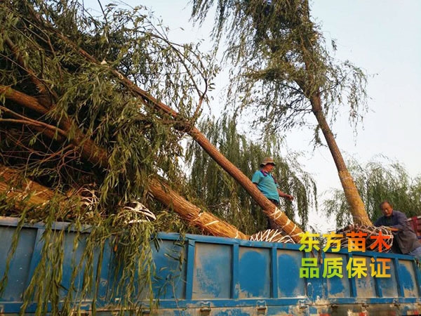 裝車(chē)現(xiàn)場(chǎng)