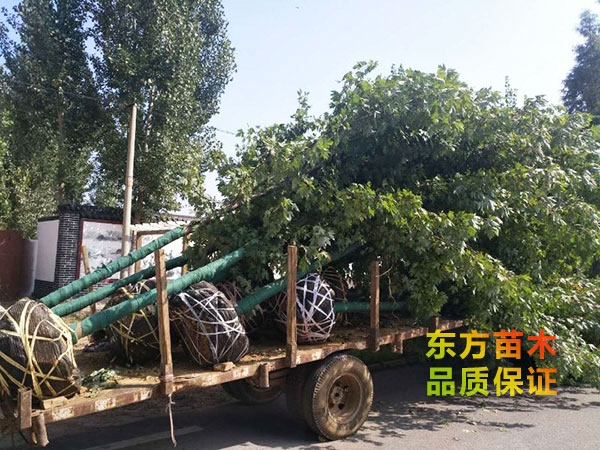 裝車(chē)現(xiàn)場(chǎng)